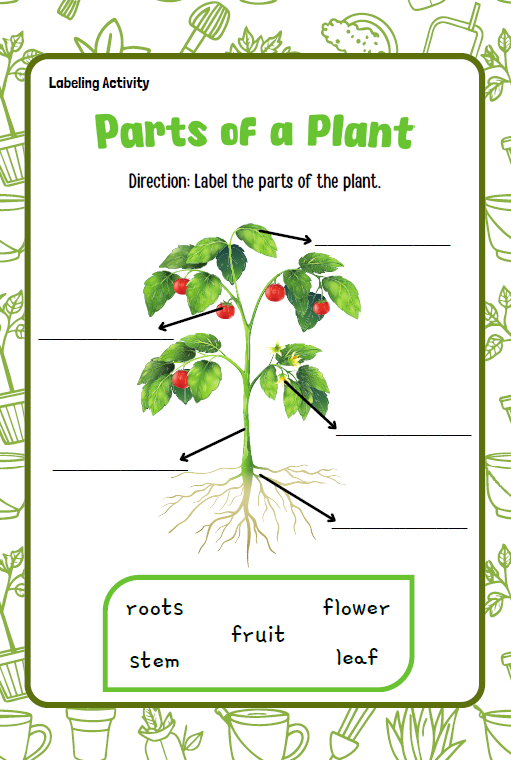 Plants - Standard Theme Pack | 5-7 years old (Downloadable)