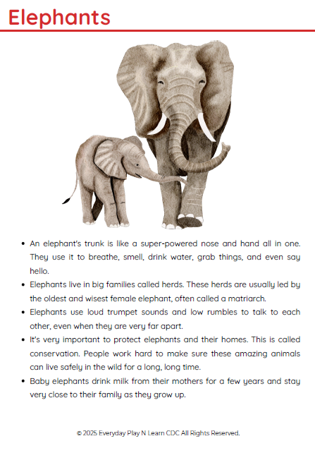 Letter E β Standard Themed Pack | Ages 3β6