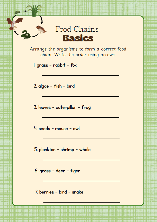 Junior Conservationist | Ages 9β12