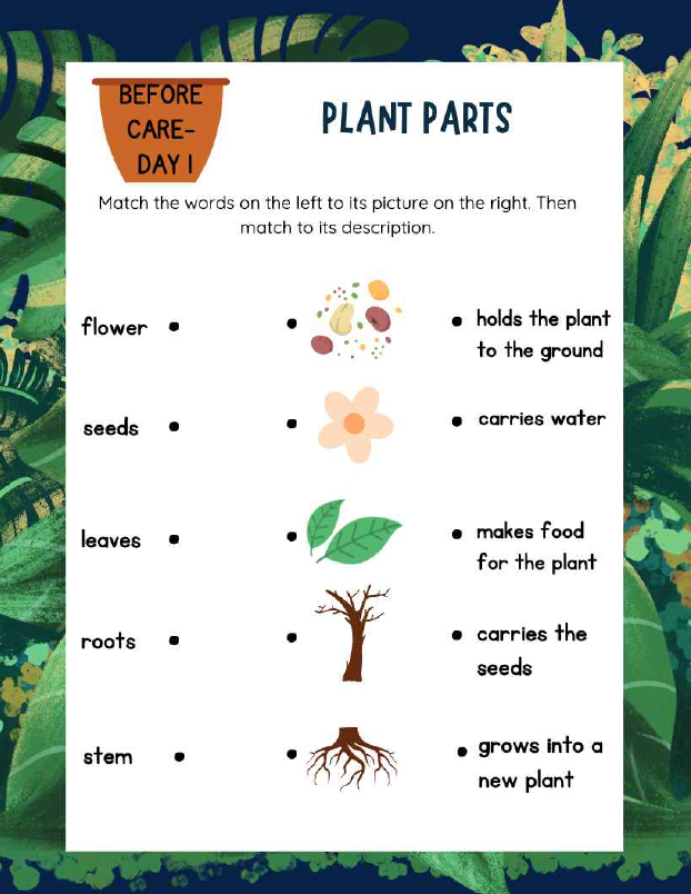 From Seed to Supper - March | Grades 3-5