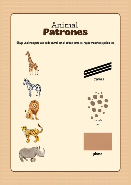 Serie de Aprendizaje de Aventuras en el Zoológico