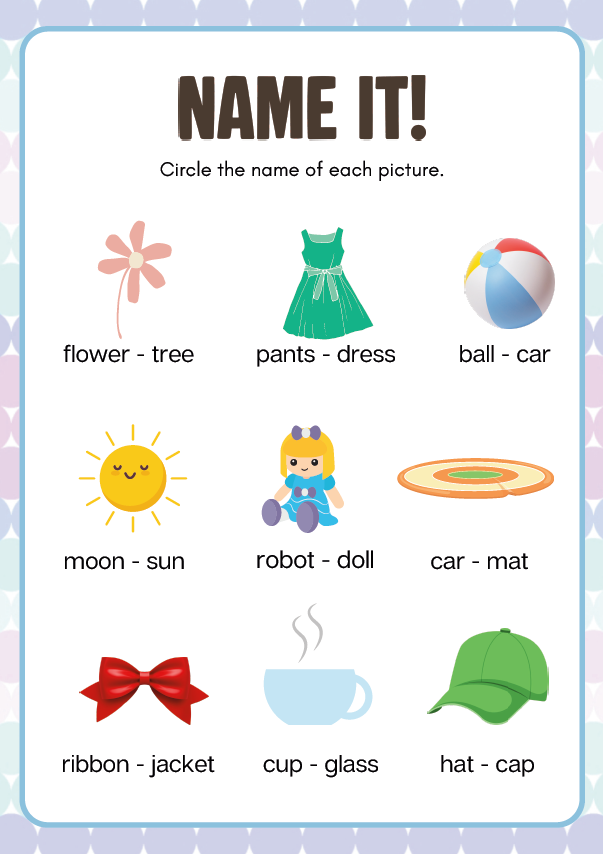 Nouns Workbook - Standard Theme Pack | 1st–2nd Grade