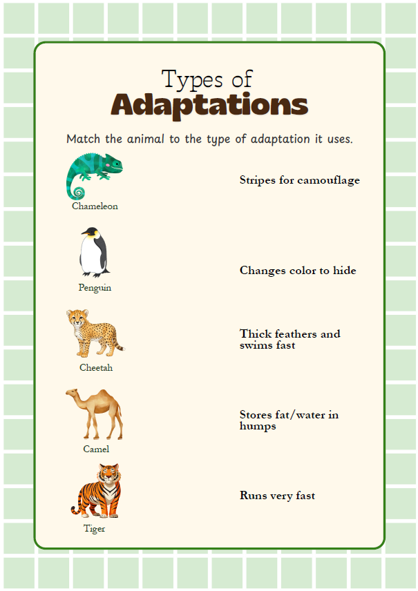 Wildlife Explorers | Ages 6–8 years