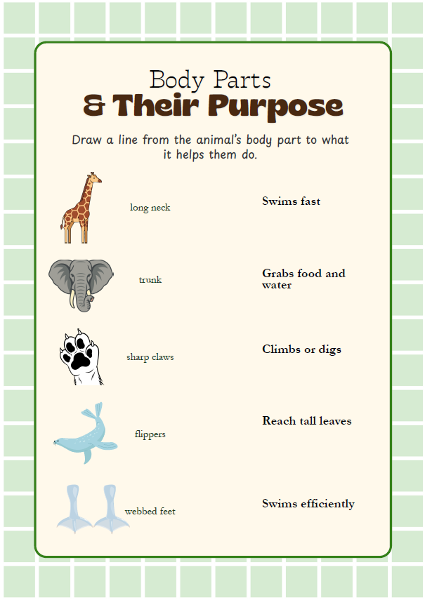 Wildlife Explorers | Ages 6–8 years