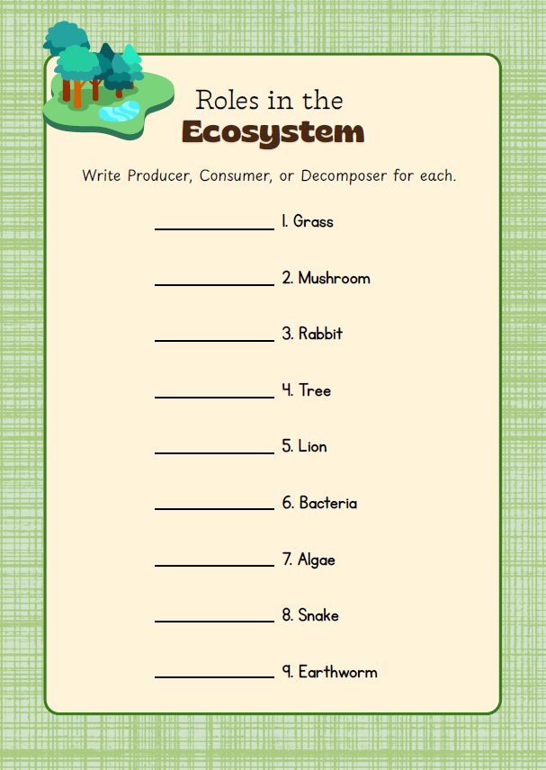 Junior Conservationist | Ages 9–12