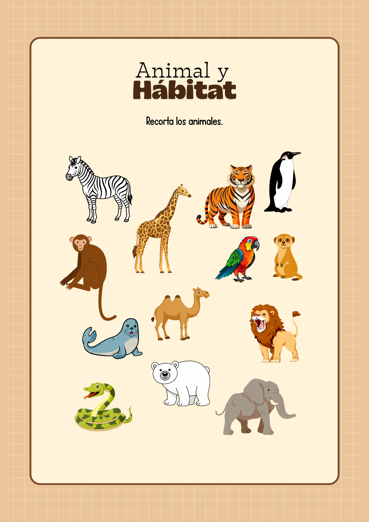 Serie de Aprendizaje de Aventuras en el Zoológico